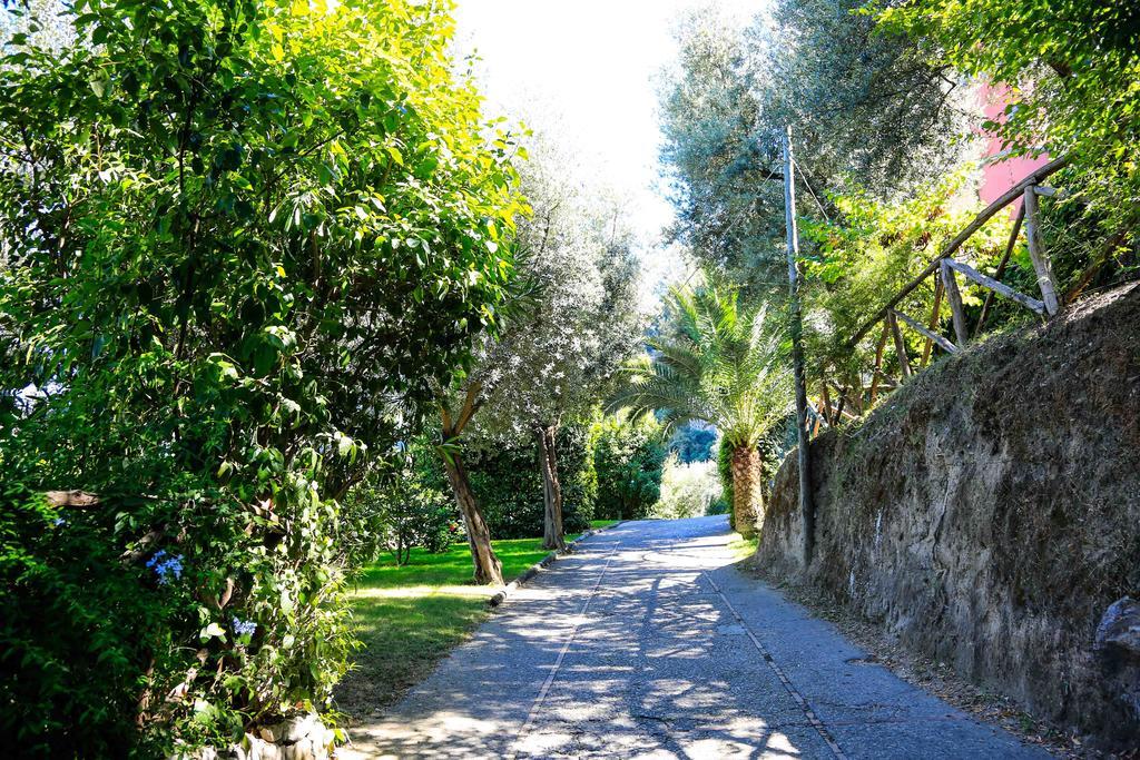 Camping Nube D'Argento Sorrento Dış mekan fotoğraf
