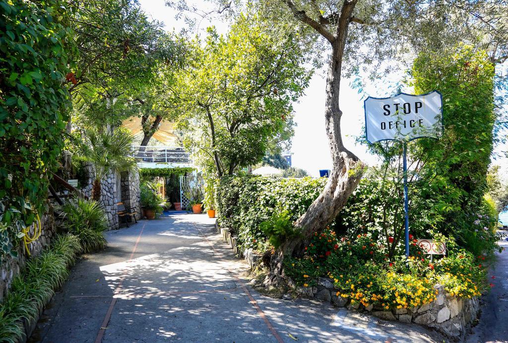 Camping Nube D'Argento Sorrento Dış mekan fotoğraf