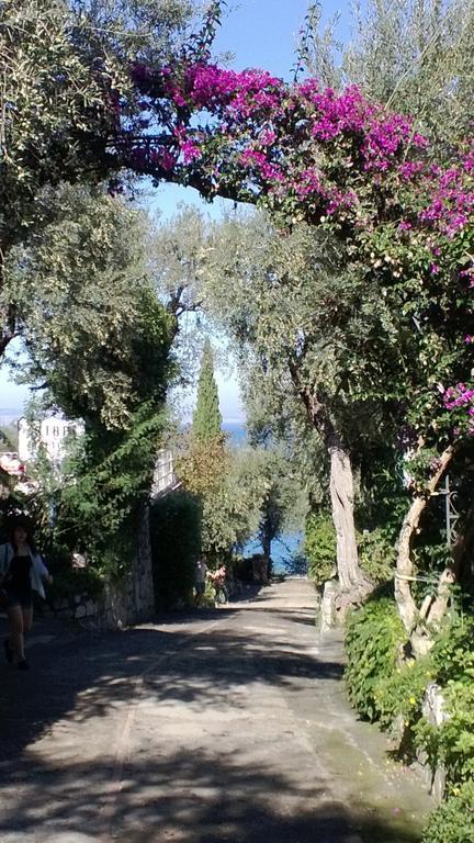 Camping Nube D'Argento Sorrento Dış mekan fotoğraf