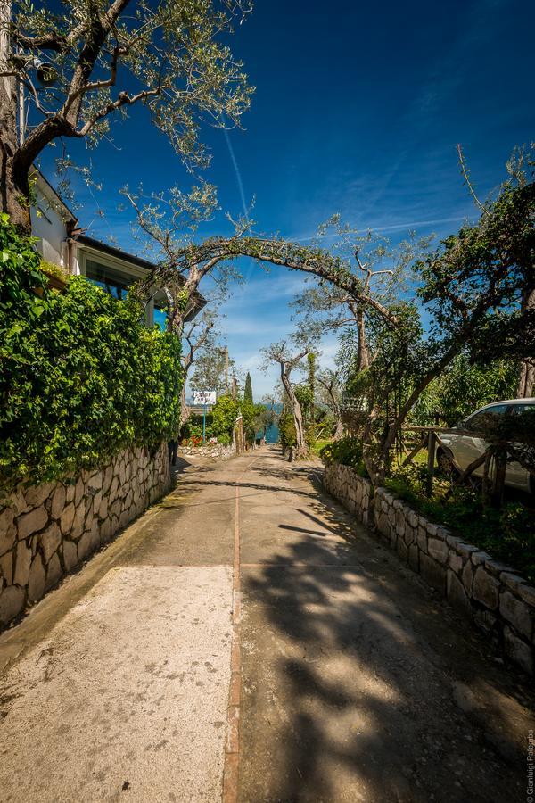 Camping Nube D'Argento Sorrento Dış mekan fotoğraf
